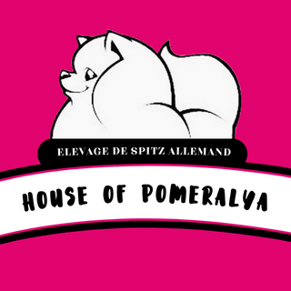 House Of Pomeralya